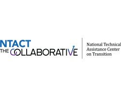 NTACT:C logo